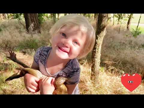 Funny Baby First Time Meeting Animals - Fun and Cute