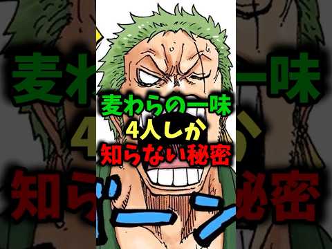 麦わらの一味4人しか知らない秘密#ワンピース #ワンピース最新話 #onepiece #ネタバレ注意