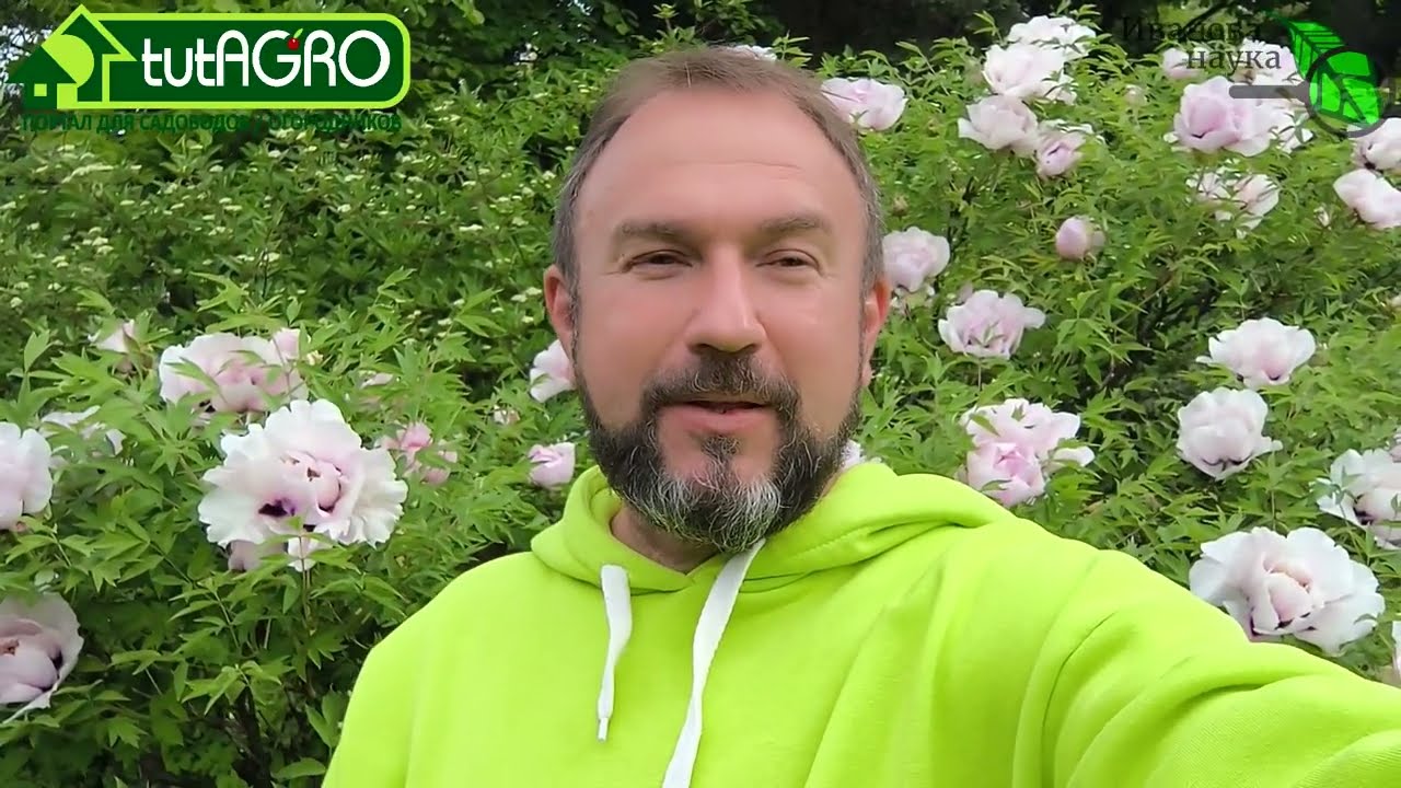 Канал иванова наука: как все устроено. Как лучшим образом получить консультацию и ответ на вопрос.