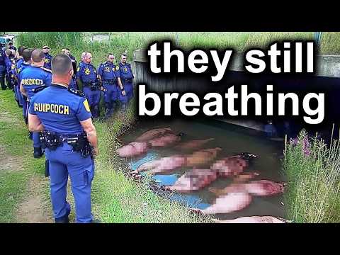 Shocking Moments Caught On Police Bodycam #3