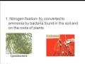 Biogeochemical Cycles and Their Processes