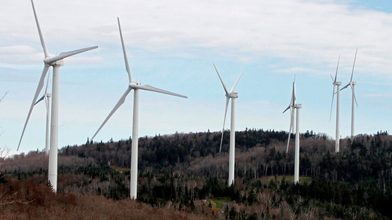 Renewable Energy Investment Increased by 50 Per Cent Since Last Year