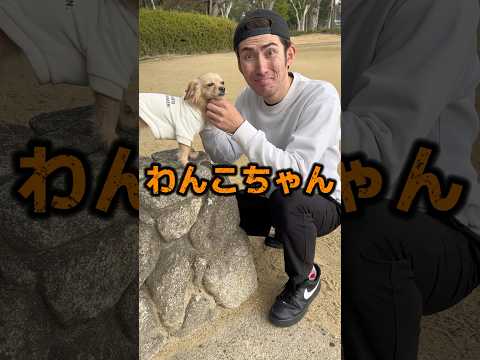 27歳以下はバリ感動する犬のおまわりさん替え歌🐕#shorts