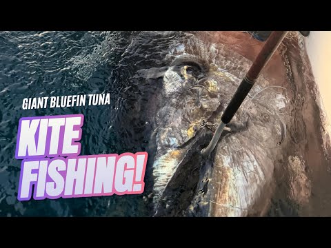 Kite Fishing for Giant Bluefin Tuna 'a la Argentina' with Dreams Angling - Gibraltar Tuna Paradise.