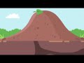 Understanding Homophones and Homographs