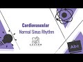 Understanding EKG Analysis Concepts