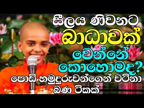 ණිවන් දකින කෙනාට සීලය අවශ්‍යමද? Ven.Tissamaharamaye Sumanadhamma Thero | Kavi Bana | bana katha