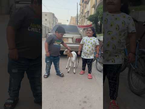 Apni Bhen K Liye Kuch Bhi 😍 #youtube #shortsvideo #shortsfeed #trending #viral