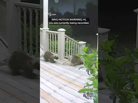 Look how it reacted to the Motion Warning!