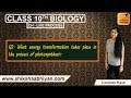 Energy Transformation in Photosynthesis