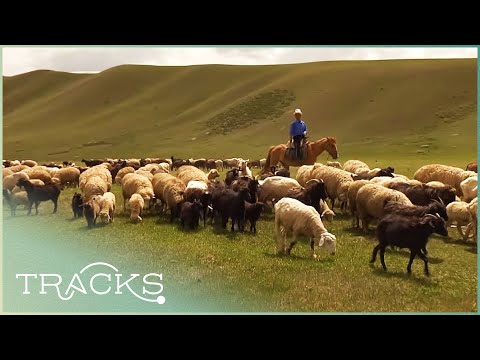 YouTube video thumbnail: Kyrgyzstan's Post-Soviet Nomads