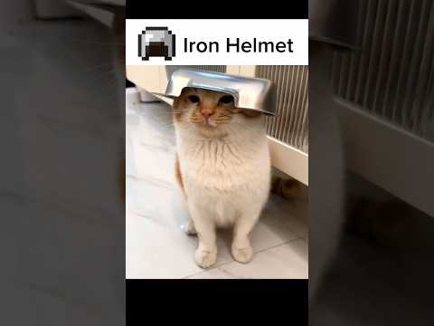 Minecraft Armor in Real Life! #minecraft #minecraftmemes #minecraftreallife