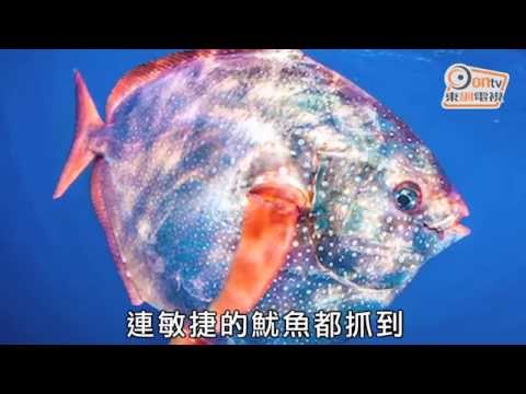 熱血深海殺手　科學家首發現恆溫魚 - YouTube(1分33秒)