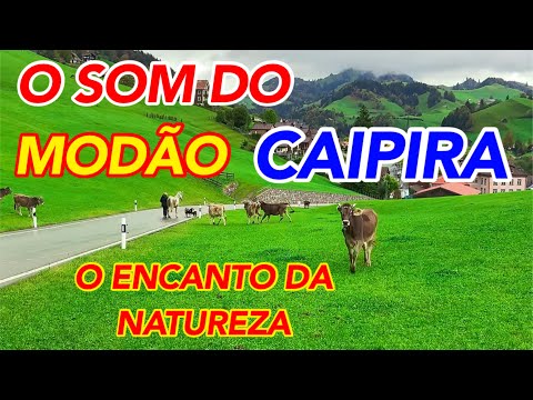 🔴O SOM DO MODÃO CAIPIRA E O ENCANTO DA NATUREZA TE LEVARÁ AO PASSADO TRAZENDO BOAS RECORDAÇÕES