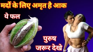 ये पौधा अमृत है आपको 56 मे भी घोड़ों की शक्ति प्रदान करेगा | Plant Benefit Vastu Tips #vastushastra​