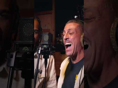 Dub Inc - Dubplate - Little Lion Sound - Tout Ce Qu'ils Veulent (Remix)