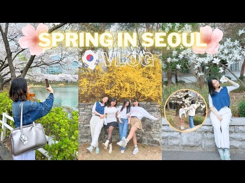 Is SPRING in SEOUL worth the HYPE? We went cherry blossom hunting across 3 famous places but…?!