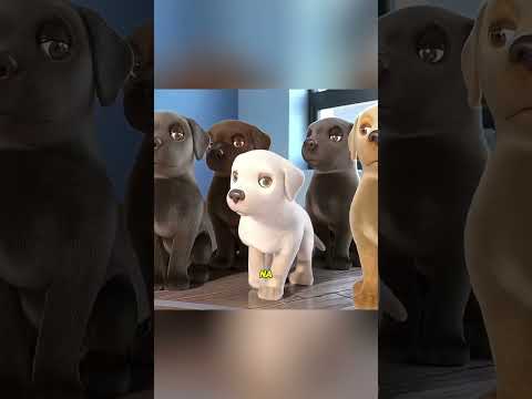“Jack, o Pequeno Cão-Guia que Conquistou o Respeito de Todos”