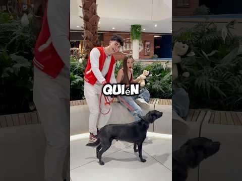 SIN PERRO por CULPA de su NOVIO 💔 y pasó ESTO 🥹📱 #sorpresa #reto #iphone #regalo