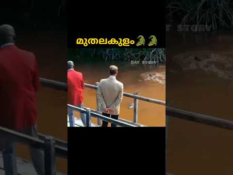 മുതലകുളം🐊🐊l Malayalam voiceover l #shorts #youtubeshorts #shortvideo #short #ytshorts #youtube