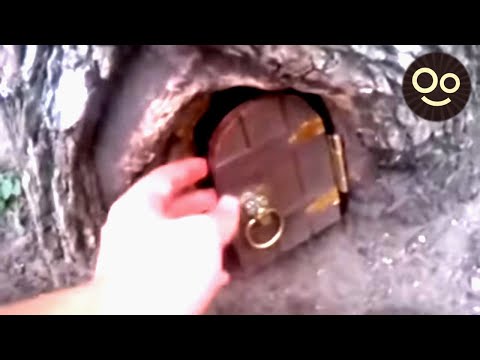 6 CASAS de Hadas y Duendes Encontradas en el BOSQUE
