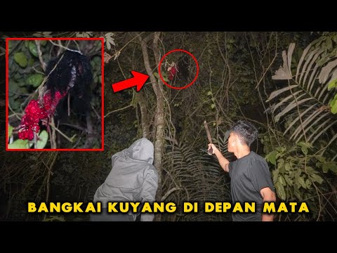 KETEMU BANGK4I KEPALA KUYANG TERSANGKUT RANTING! AKHIRNYA 1 KUYANG T3WAS! Part 39