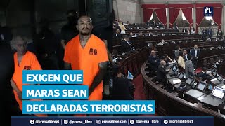 Exigen al Gobierno declarar terroristas a los pandilleros del Barrio 18 y la Mara Salvatrucha