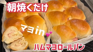 【朝ラク☀️】こね時間3分💓起きて35分で焼きたて‼️ハムマヨロールパン！元パン屋が作る👩🏻‍🍳
