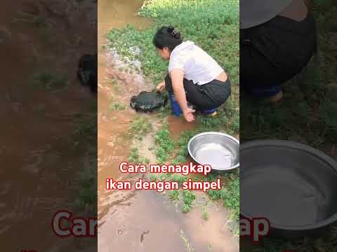 Cara menangkap ikan dengan hasil lumayan