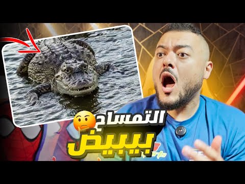 ليه التمساح بيبيض؟ سؤال جنّن العلماء! | فزورة لازم تحلها قبل ما تنام 😱🐊