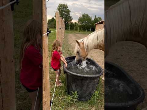 The affection between the horse and the child！#KidAndHorse #HorseTok #WholesomePets #Heartwarming