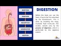 Human Digestion and Nutrition Concepts