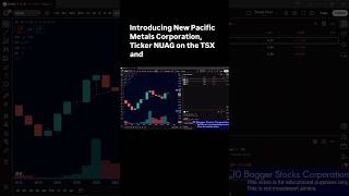 New Pacific Metals Corporation - Today’s sponsored stock!