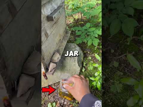 Would you dare to do this job?😱 (🎥: bbeabeee - via TikTok)