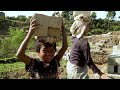 Understanding Child Labour and Global Efforts