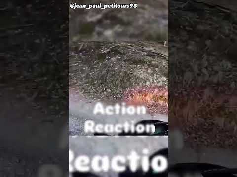 Karen Gets Instant kARMA