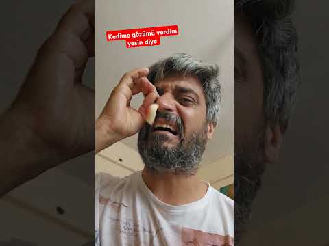 Al babanın gözünü ye 😢 kedime gözümü verdim #shorts #youtubechamps