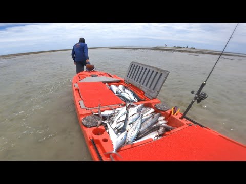 PESCARIA NA ILHA ENCHEMOS O MILHA BOAT DE PEIXE ERA SÓ JOGAR E PUXAR!