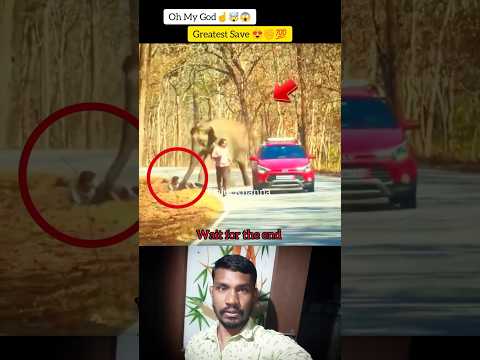 Mash Allah 😱 Greatest save ✊💯❤️ #shorts #shortvideo #viralvideo #trending
