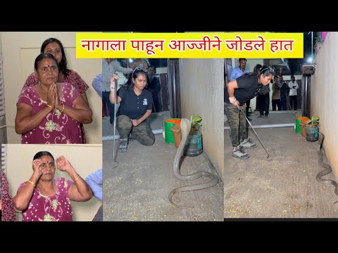 😱😱🐕बापरे कुत्र्याने अडवून ठेवले होते भल्या मोठ्या नागाला😳😳