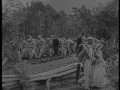 Australia's History and National Identity