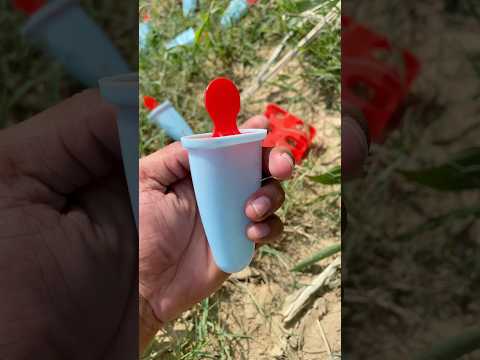 I found a ice cream mould