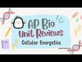 AP Biology Concepts and Processes