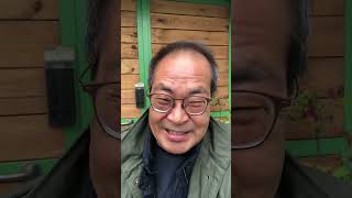 종로구 신문로 2가 한덕수 前 총리 저택 사라진 향나무 집을 찾아! 열한그루그루의 神木은 없어지고 盤松과 철쭉만 넓은 정원을 메우고 있었다!
