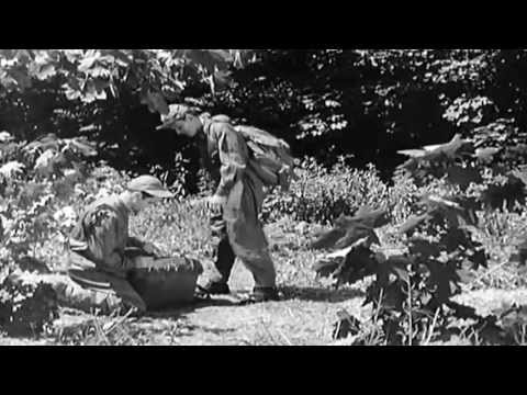 1957 U.S. Air Force Survival Training Film: Evasion - YouTube