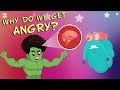 Understanding Anger