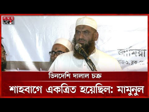 দেশ চালাত ২ সরকার; হাসিনা সরকার আর ইমরান এইচ সরকার, বললেন মামুনুল হক | Mamunul Haque | Somoy TV