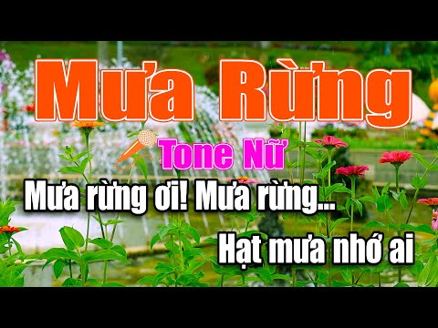 Mưa Rừng Karaoke Tone Nữ Nhạc Trữ Tình Rumba Dễ Hát