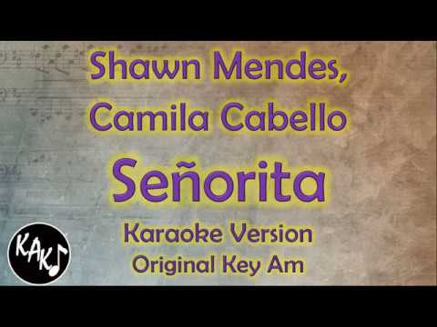 Shawn Mendes, Camila Cabello – Señorita Karaoke Lyrics Instrumental Cover Original Key Am