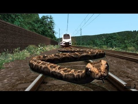 Crazy Anaconda stops the train and escapes in Indian train simulator